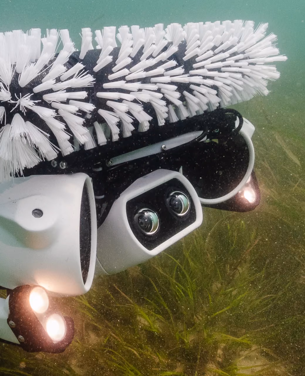 Close-up of a Hullbot robot's brushes, cameras and lights above a seagrass bed