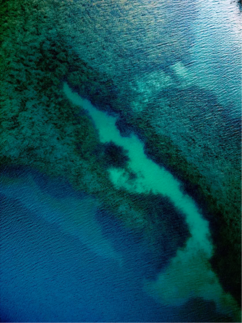 Aerial view of turquoise shallows and seagrass meadows along a coastline