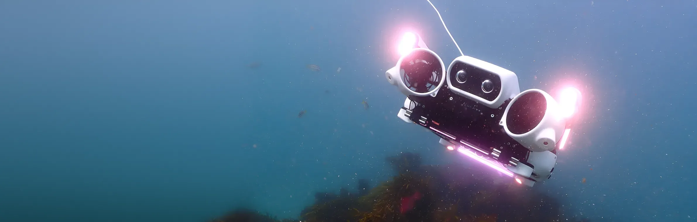 Hullbot robot descending through blue water with its lights on
