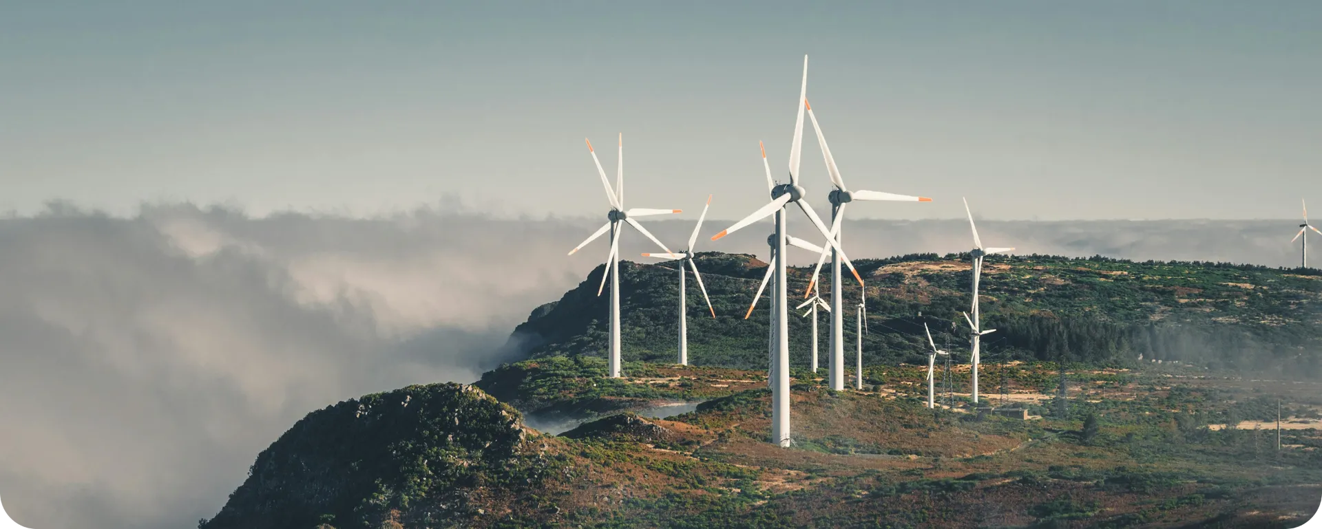 Offshore wind turbines at sea under a cloudy sky