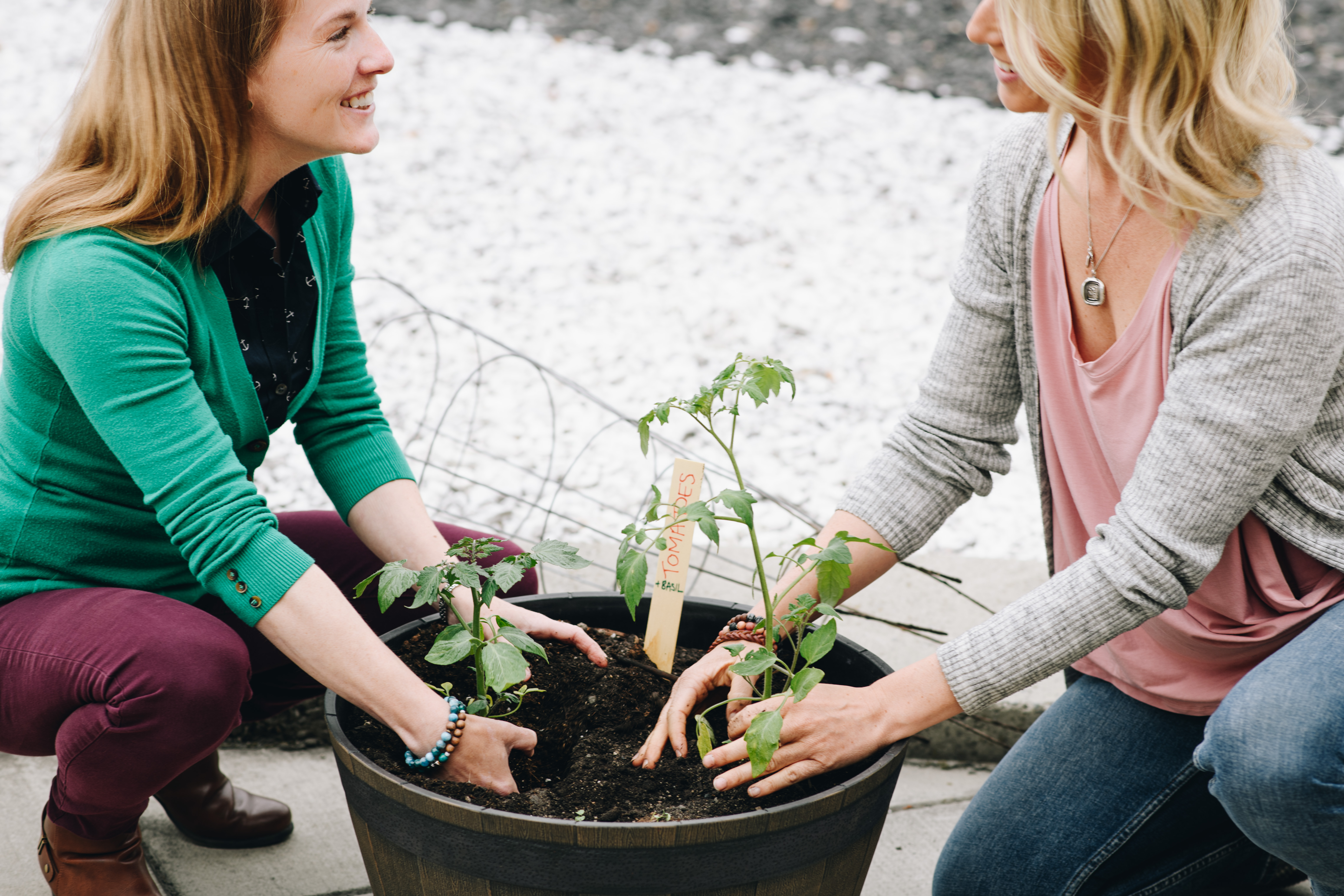 Community Rehabilitation in BC: When Rehab at Home Beats the Clinic