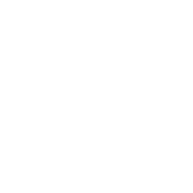 VIP Lux DFW