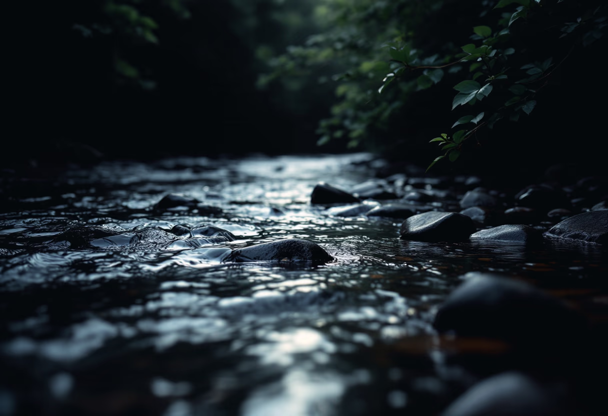 image of clean river running through a forest (for an environmental conservation nonprofit)